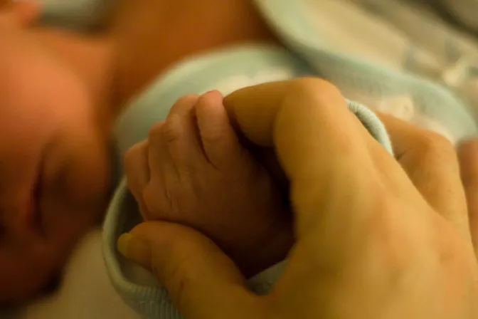 Aborto en Argentina: Lanzan sitio web sobre problemática de la maternidad vulnerable