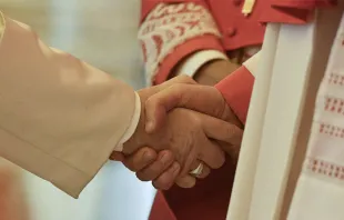 Imagen referencial. Papa Francisco saluda a Cardenal. Foto: Vatican Media 