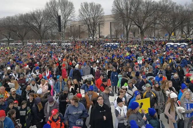 Así se vivió la Marcha por la Vida 2020 en Estados Unidos