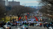Marcha por la Vida en Washington D.C. Foto: Addie Mena / ACI Prensa