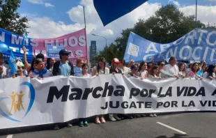 La Marcha por la Vida en Argentina este 25 de marzo. Crédito: Marcha por la Vida Argentina 