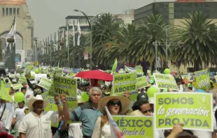 Marcha por la Vida en Ciudad de México. Foto: Pasos por la Vida. 