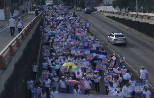 Multitudinaria marcha a favor de la vida y la familia en El Salvador. Foto: Twitter / @vida_sv. 