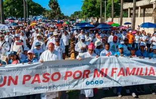 Dominicanos participan en la marcha a favor de la familia. Crédito: Un paso por Mi Familia 