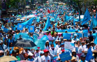 Marcha por la vida en Ciudad de México. Crédito: Pasos por la Vida 