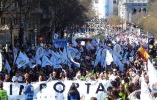 La multitud de personas que marchó hoy en Madrid por la vida y contra el aborto en España. Foto Blanca Ruiz / ACI Prensa 