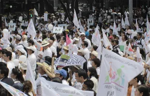 La Marcha de la Familia en México. Foto: Eduardo Santos (ACI Prensa) 