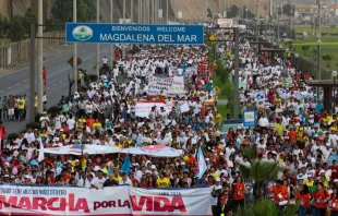 Marcha por la Vida 2015 en Perú. Foto: Eduardo Berdejo / ACI Prensa. 