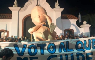 Marcha por la Vida en residencia presidencial / Foto: Unidad Provida 