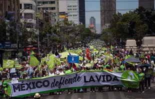 Miles participaron en la Marcha por la Vida en Ciudad de México. Foto: Pasos por la Vida A.C. 