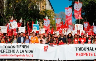 Cabecera de la VI Marcha por la Vida celebrada en Madrid. Foto: Blanca Ruiz 