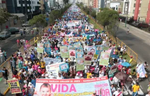 Marcha por la Vida 2016 en Perú. Crédito: Eduardo Berdejo - ACI Prensa 