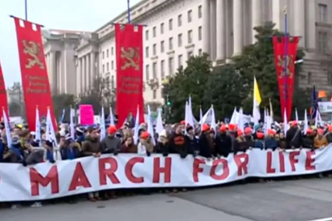 Delegaciones de América Latina se suman a March for Life en Estados Unidos