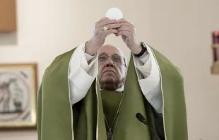 El Papa Francisco celebrando Misa. Foto: Vatican Media / ACI 