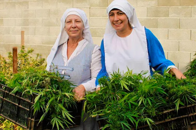 Mujeres que cultivan marihuana en California no son monjas católicas 