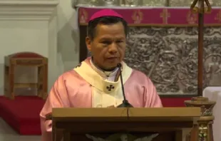 Mons. Leigue Cesarí. Crédito: Captura de pantalla de la homilía - Iglesia Santa Cruz 