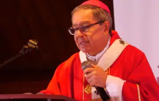 Arzobispo de Bogotá, Mons. Luis José Rueda Aparicio. Crédito: Facebook CEC (captura de video) 