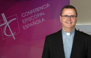 Mons. Sergi Gordo, Obispo auxiliar de Barcelona y electo de Tortosa. Crédito: Conferencia Episcopal Española. 