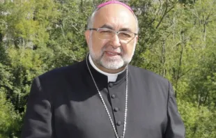 El Arzobispo de Oviedo (España), Mons. Jesús Sanz Montes. Crédito: Archidiócesis de Oviedo.