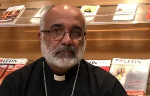 Mons. Jaime Villarroel, Obispo de Caru00fapano (Venezuela). Cru00e9dito: ACI Prensa.  