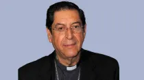 Mons. José Luis Dibildox, Obispo Emérito de Tampico (México). Foto: CEM