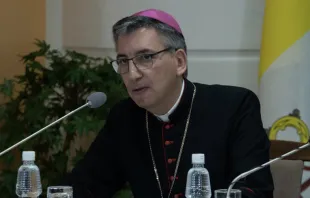 Mons. José Luis Mumbiela Sierra. Crédito: Iglesia Católica en Kazajistán 