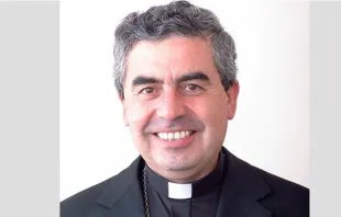 Mons. Santiago Silva, nuevo Presidente de la Conferencia Episcopal de Chile. Foto: Iglesia.cl 