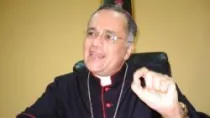 Mons. Silvio Báez, Obispo Auxiliar de Managua, Nicaragua (foto El Nuevo Diario)