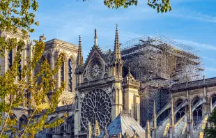 Catedral de Notre Dame de París. Crédito: Shutterstock 
