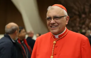 El nuevo Cardenal Baltazar Porras. Foto: Daniel Ibáñez / ACI Prensa 