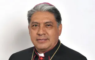 Mons. Efraín Mendoza Cruz, nuevo Obispo de Cuautitlán (México). Crédito: CEM 
