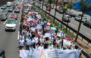 Miles marcha en contra de la Organización de Estados Americanos (OEA), el 6 de octubre de 2022. Crédito: Congreso Iberoamericano por la Vida y la Familia 