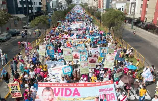 Marcha por la Vida en Perú / Crédito: Eduardo Berdejo - ACI Prensa 