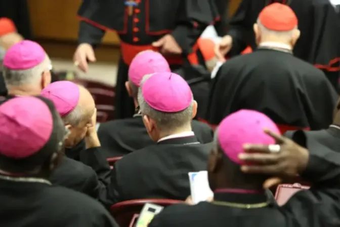 Obispo advierte que el Sínodo de la Sinodalidad no puede “inventar” la misión de la Iglesia