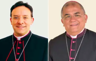 Mons. Leomar Brustolin y Mons. Gilberto Pastana. Créditos: Arquidiocese de Porto Alegre / Diocese do Crato 