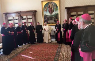 Obispos de Irlanda en el Vaticano / Foto: Conferencia Episcopal de Irlanda  