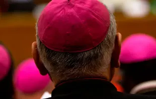 Imagen referencial. Obispos. Foto: Daniel Ibáñez / ACI Prensa 