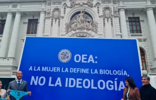 Cartel contra la ideología de género exhibido frente al Congreso del Perú. Crédito: Carlos Polo 