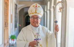 Mons. Óscar Julio Vian Morales. Foto: Arzobispado de Guatemala. 