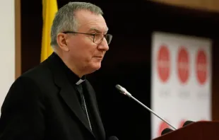 El Secretario de Estado Vaticano durante su intervención. Foto: Daniel Ibáñez / ACI Prensa 