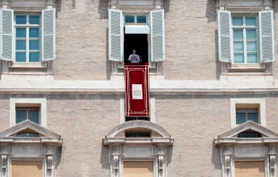 El Papa presidió el rezo del Ángelus desde el Palacio Apostólico. Foto: Vatican Media 