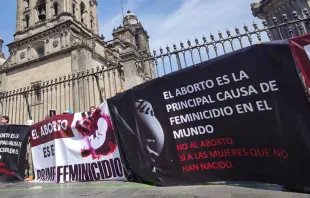 Pancartas provida en el exterior de la Catedral Metropolitana de México durante marcha feminista del 8 de marzo. Crédito: David Ramos / ACI Prensa. 