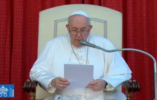 El Papa Francisco pronuncia su catequesis. Foto: Youtube 