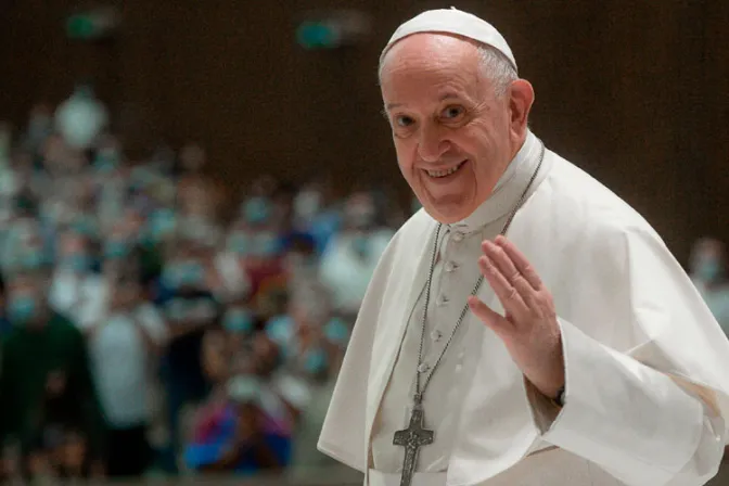 Laudato si’ es “encíclica social”, no solo una encíclica “verde”, aclara el Papa Francisco