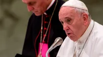 El Papa Francisco durante una audiencia. Foto: Daniel Ibáñez / ACI Prensa
