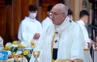 El Papa durante la Misa del Domingo de la Misericordia. Foto: Captura de Youtube 