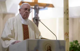 El Papa pronuncia su homilía. Foto: Vatican Media 