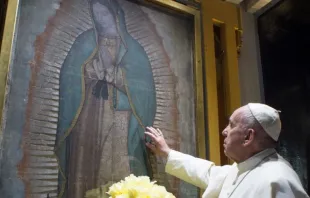 El Papa Francisco rezando ante la imagen de la Virgen de Guadalupe. Cru00e9dito: Vatican Media. 