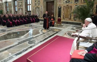El Papa Francisco durante la audiencia. Foto: L'Osservatore Romano 
