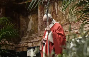 Papa Francisco en el Domingo de Ramos. Foto: Vatican Media 